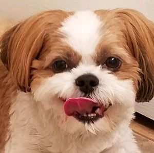 Meet your Posher, Scott